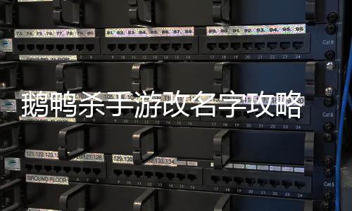 鹅鸭 鹅名字游改鸭杀杀手手游攻略改名怎么字